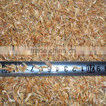 High nutrition dry shrimp // fish food dried shrimp