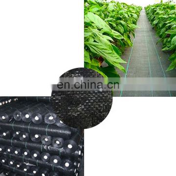 Cheap plastic mulch anti weed glass net pe mat  for agriclturalor garden cover