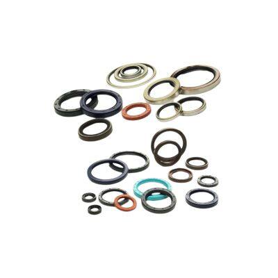 China Shaft Seal Manufactory Supply Different Materials Oil Seal
