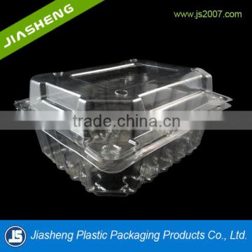 Hot Sell 2016 good quality plastic fruit disposable cheap plastic containers                        
                                                                                Supplier's Choice