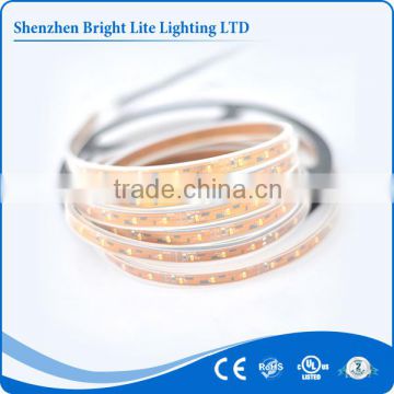 SMD led flexible strip light led 3014 Waterproof IP67 IP68 Warm White 120LED UL certificate led strip light