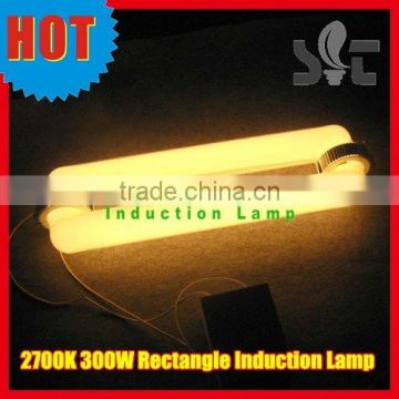 300W 2700K Growshop Induction Light/Electrodeless Discharge Lamp/