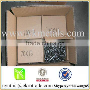 Electro galvanized common nail big supplier in China