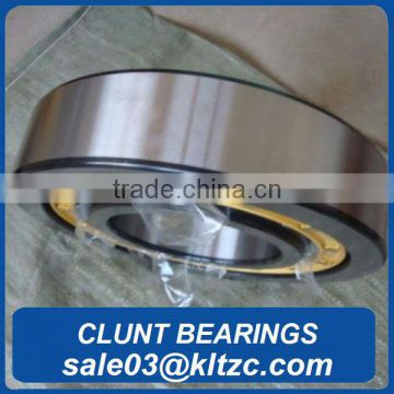 Inner ring without rib cylindrical roller bearings SL045010-PP