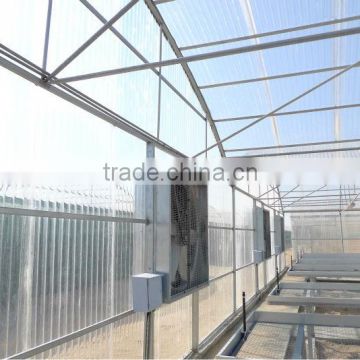 Agriculture Greenhouse (Polycarbonate Valuview ROMA)