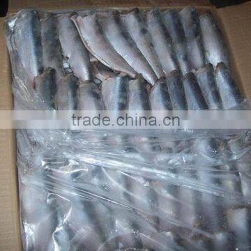 canned sardine/wholesale sardines