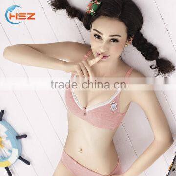 Wholesale Woman Bra Set Underwear Hot Sexy Fancy Bra Panty Set