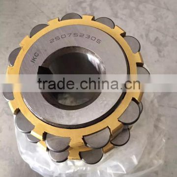 Eccentric bearing Cylindrical Roller Bearing 250752305