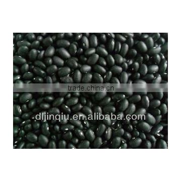 hps small black kidney beans crop 2012