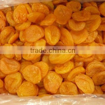 Brand-new dried apricot with high quality