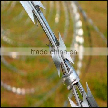Competitive razor wire cbt-60 /military concertina razor/ razor barbed wire mesh fence