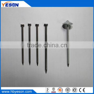 1 inch Anping good polished low carbon steel common nail factory