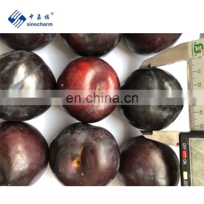 Sinocharm BRC-A Certified IQF Plum Fruit Natural Halves Frozen Plum