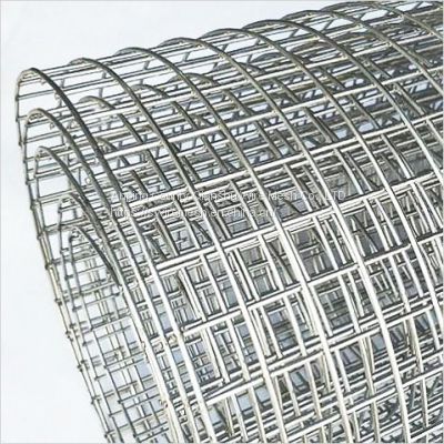 Stainless steel welded mesh Hardware Cloth Galvanized Welded Wire Metal Mesh Roll Vegetables Garden Fence for Chicken Run Rehab Cage Window