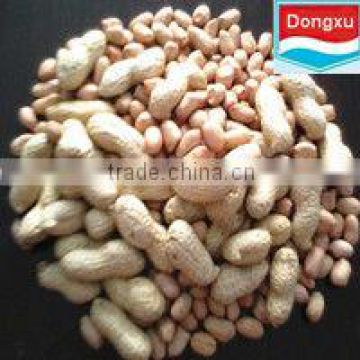 chinese peanut kernels 40/50