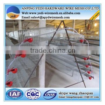 hot sale !!!quail breeding cages/quail cages feeding system