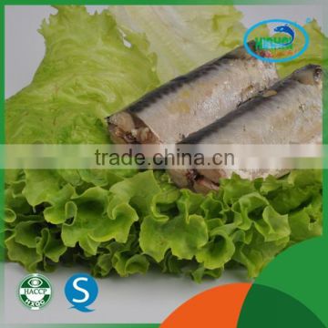 process canned seafood mackerel canning fish