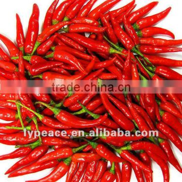 fresh bell pepper materials for dehydrated vegetables