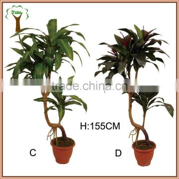 green artificial yucca plant dracaena plant for export sell