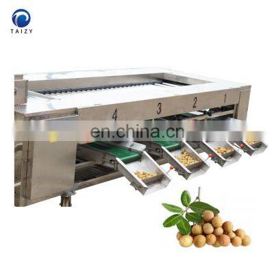 automatic garlic onion potatoes pepper grading machine longan fruit sorting machine