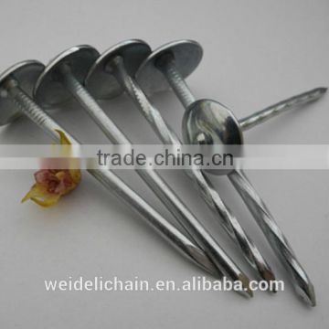 umbrella roofing nails made in china