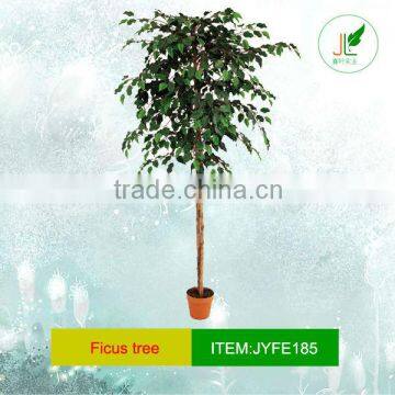 Decorative Artificial Ficus Tree