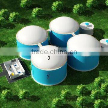 Chinese PUXIN Home Biogas for Waste Treatment Plant, Waste Energy to Plant