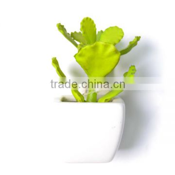 Fresh green Artificial Succulent Plant in a Decorative square pot