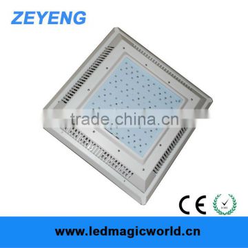 Alibaba New Canopy Led Lamp Industrial