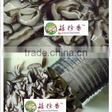 Chinese canned shiitake mushroom best price