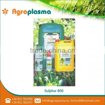 Safe to Use Fast Released Sulfur-800 Organic Fertilizers Manufacturer