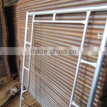 TIANJIN building Material Zinc coated Steel Pipe for Scaffold export to Southeast Asia