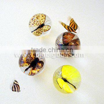 Hot selling crystal sphere with real insects ember inserted as promotion gifts