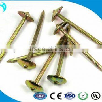 Africa e-galvanized umbrella head ROOFING NAILS