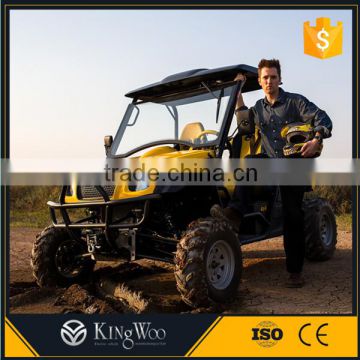 Electric utility vehicle UTV with EEC COC For Sale