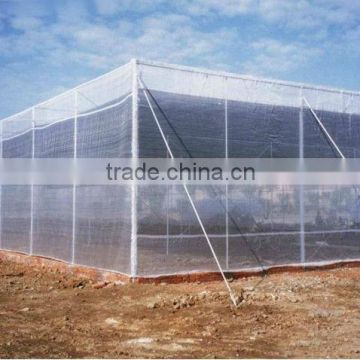 white Agriculture Anti Insect Net ,anti insect bird net