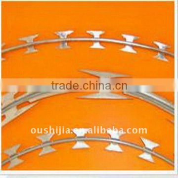 (Oushijia) High Quality Galvanized Razor Barbed Wire