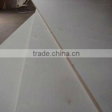 high quality and best price bleached poplar plywood