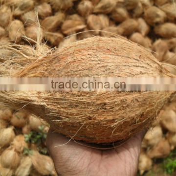 Market price of fresh coconut