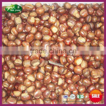 2016 New Crop Organic Chinese Yanshan High Quality Fresh Raw Chestnut