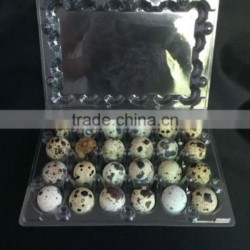 High quality disposable quail egg tray 24 holes