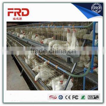 Hot sale low investment chicken layer cage for poultry farming