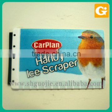 Printing Bird on Plastic Sign Board
