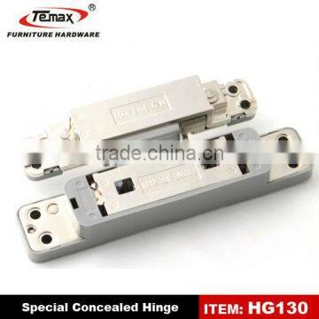 2013 New TEMAX Stainless steel spring hinge for gate