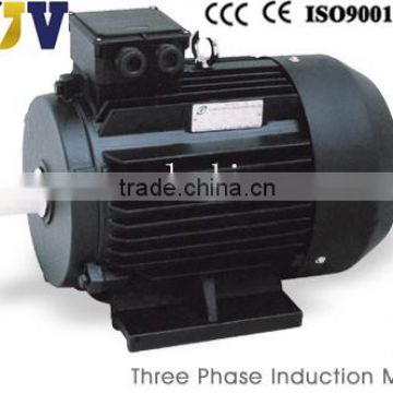 YE2 pump motor
