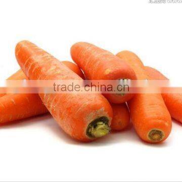 2015 Fresh Red And Delicious Carrots frozen carrots for wholesales