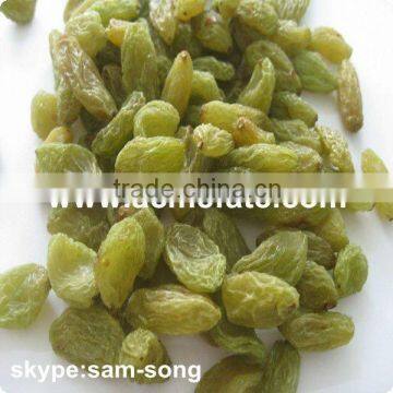 Low Price Air Dried 90% Green Raisin