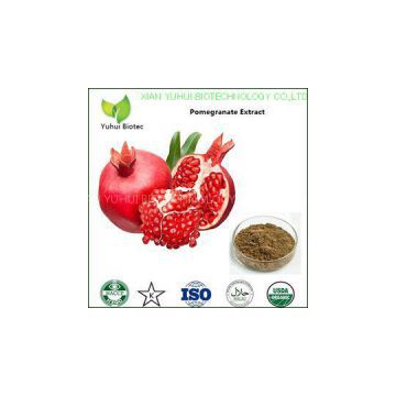 Pomegranate Extract,pomegranate extract powder,ellagic acid pomegranate extract