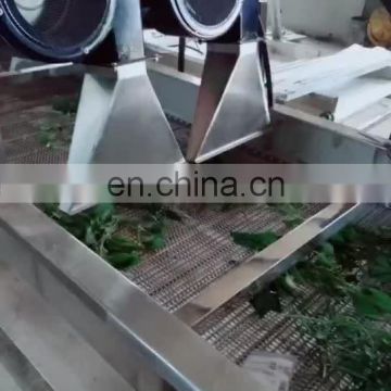 New Condition Air Bubble Vegetable Washing Machine, Multifunctional Fruit and Vegetable Washing and Drying Machine