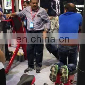 factory walking machine  equipment best gym trainer Back Extension for  sports